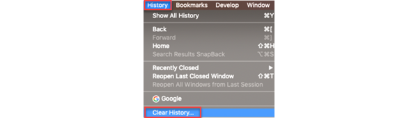 Screenshot of step for troubleshooting system error in Safari