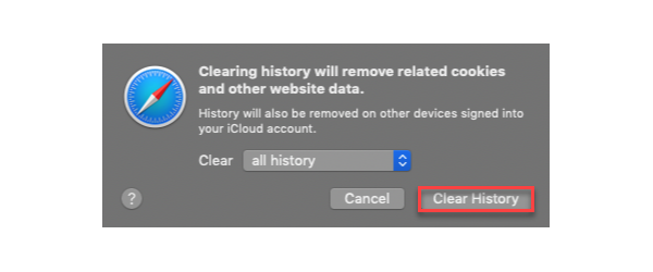 Screenshot of step for troubleshooting system error in Safari