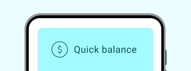 An image showing the quick balance options in the app.