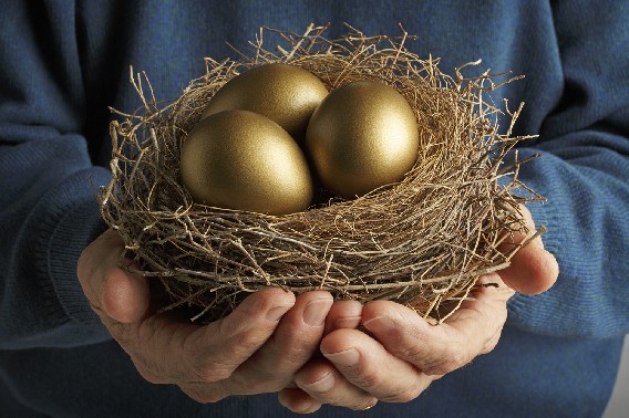 A photograph of a person holding a stick nest containing golden eggs