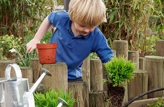 Blonde-haired boy with blue shirt, watering plants in a garden