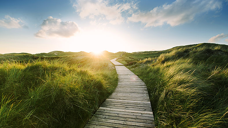 Path through green field with blue sky