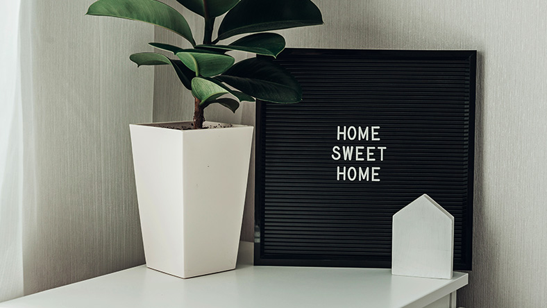 A home sweet home board sits behind a pot plant on a window sill.