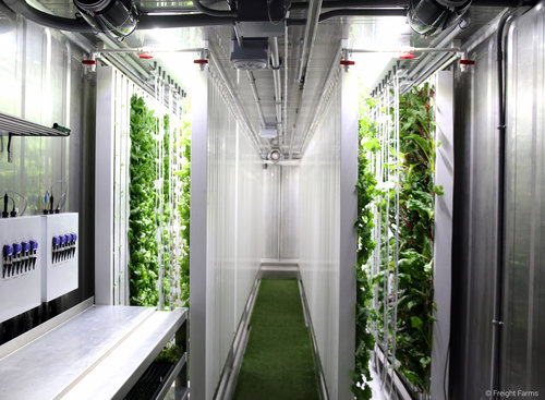 Hydroponic greenhouse built in a reused shipping container
