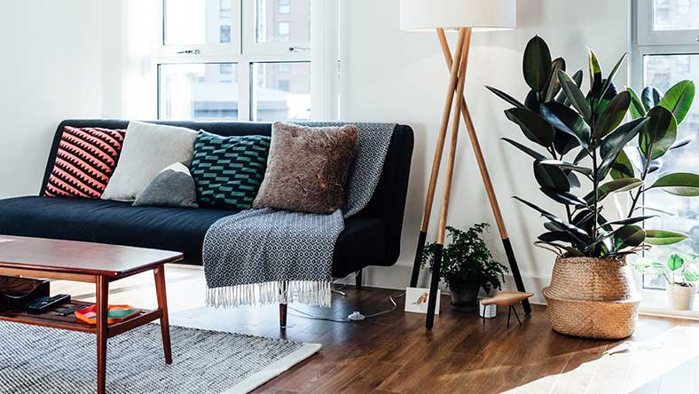 Inside of living room with lounge, cushions, coffee table and pot plant on display